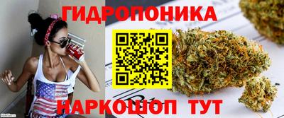 mdpv Мариинск